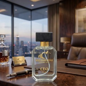 Alternative view of CEO-by Khushbahar